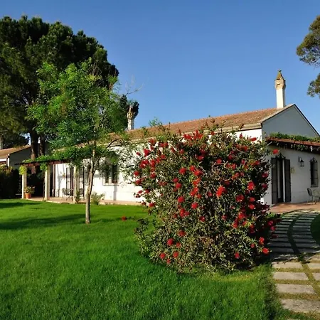 Sleeps 2 Pool Wifi Apartment *