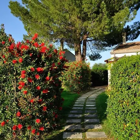Sleeps 2 Pool Wifi * Montescaglioso